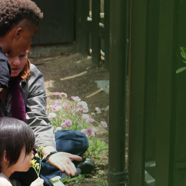 teacher showing flowers to young kids