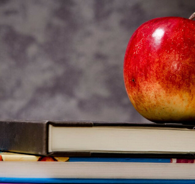 A shiny red apple sits beautifully on a stack of schoolbooks. Don't you just want to devour this perfect crunchy apple? Yum, yum!