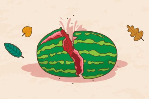 Watermelon cartoon