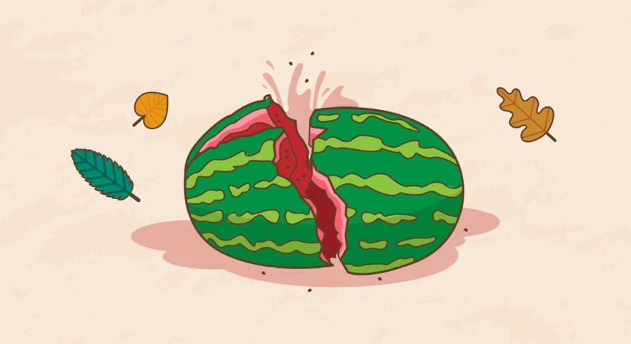 Watermelon cartoon