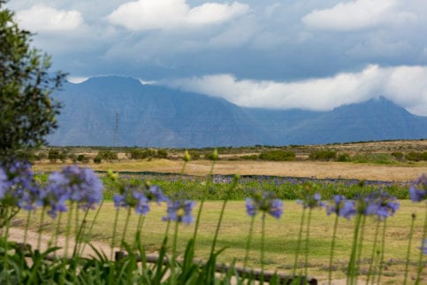 South africa plains