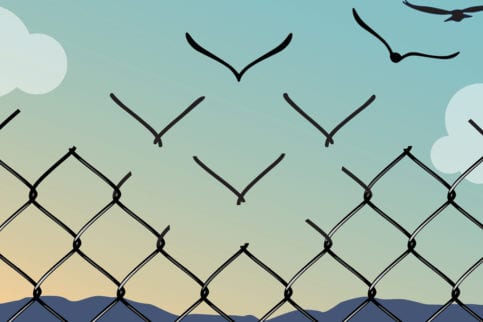 Birds and fence illustration