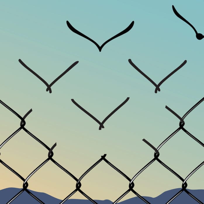 Birds and fence illustration