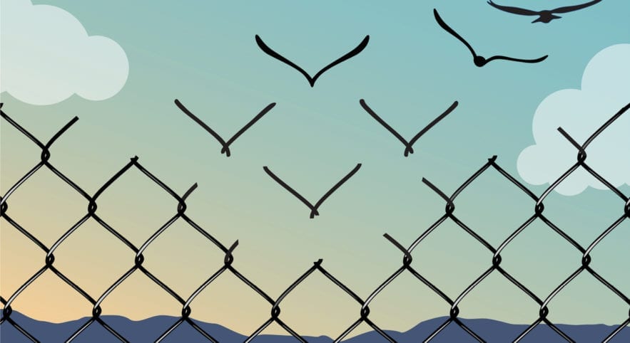 Birds and fence illustration