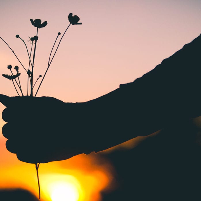 Person holding flowers with sunset in background