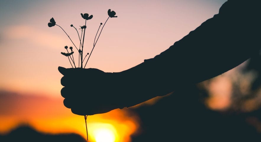 Person holding flowers with sunset in background