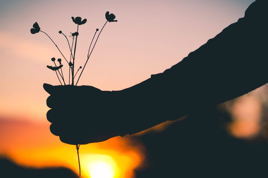 Person holding flowers with sunset in background