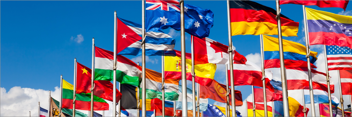 multinational group of flags against blue sky